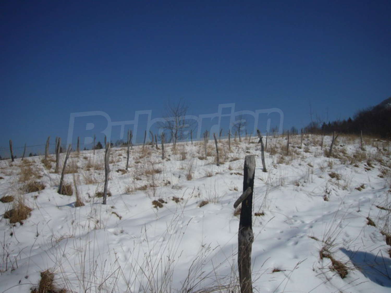 Gallery Picture 7