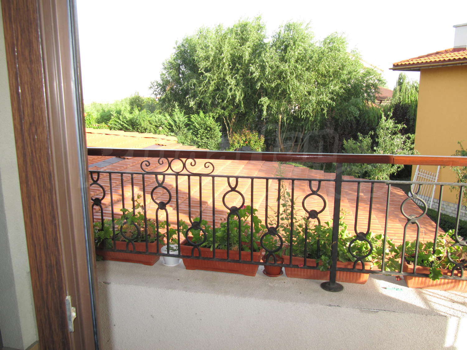 Gallery Picture 24