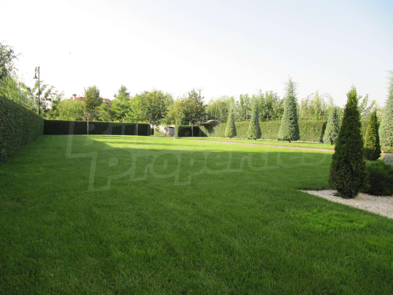 Gallery Picture 36