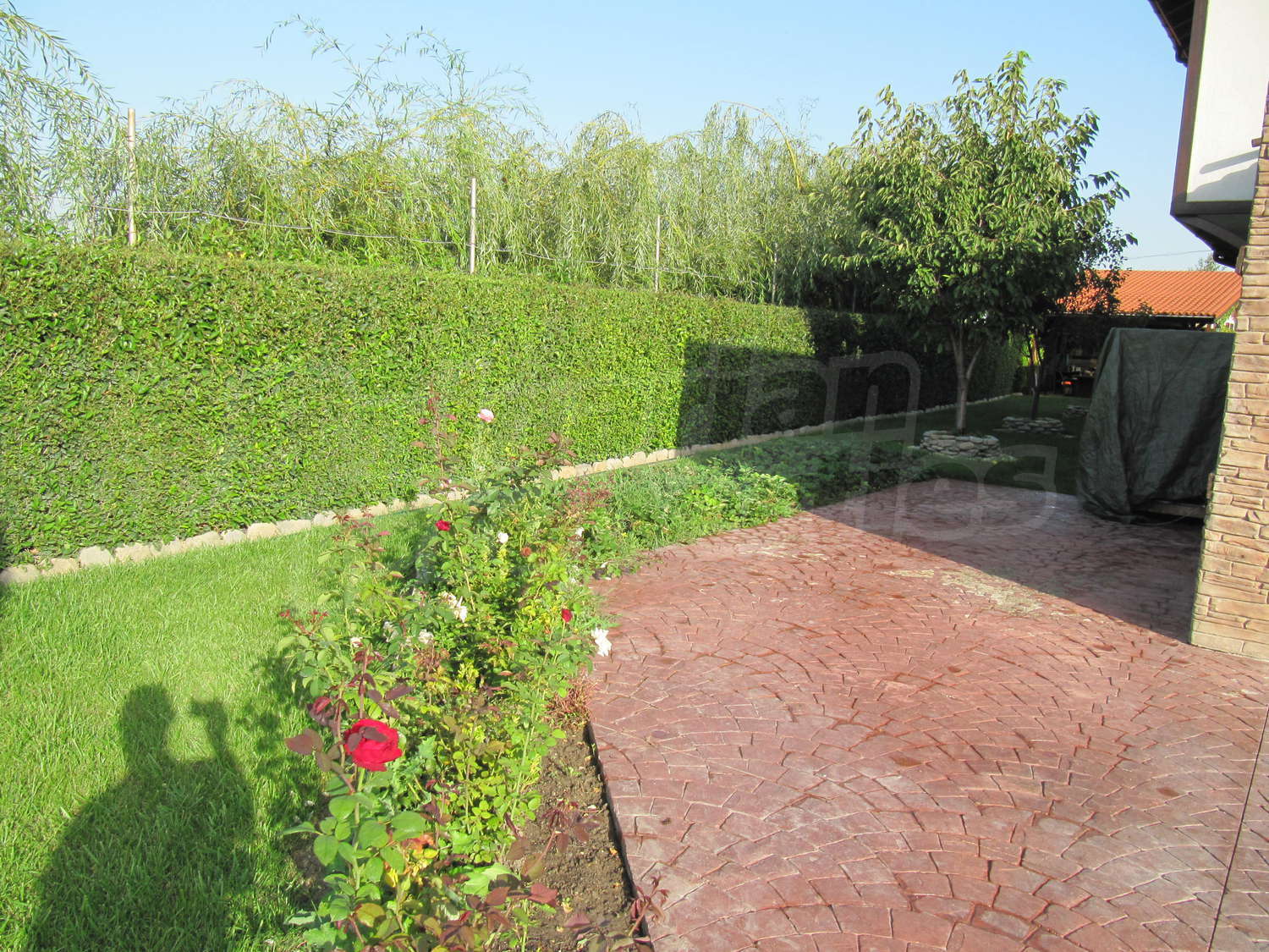 Gallery Picture 45