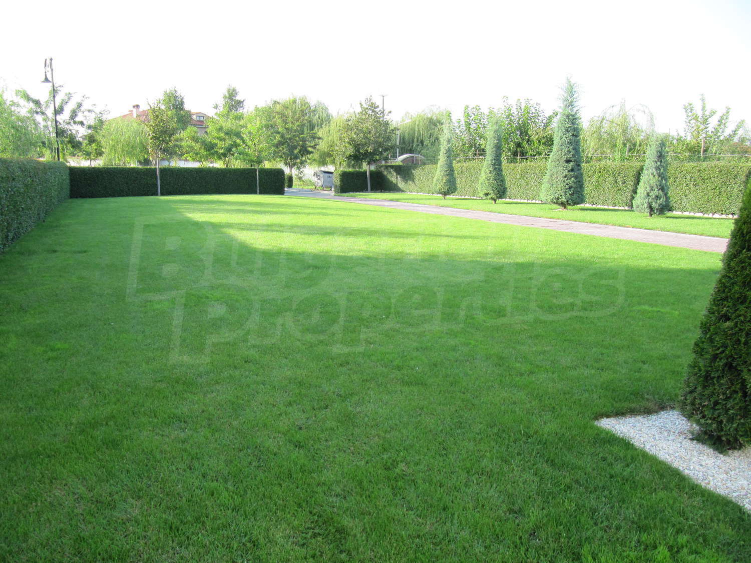 Gallery Picture 49
