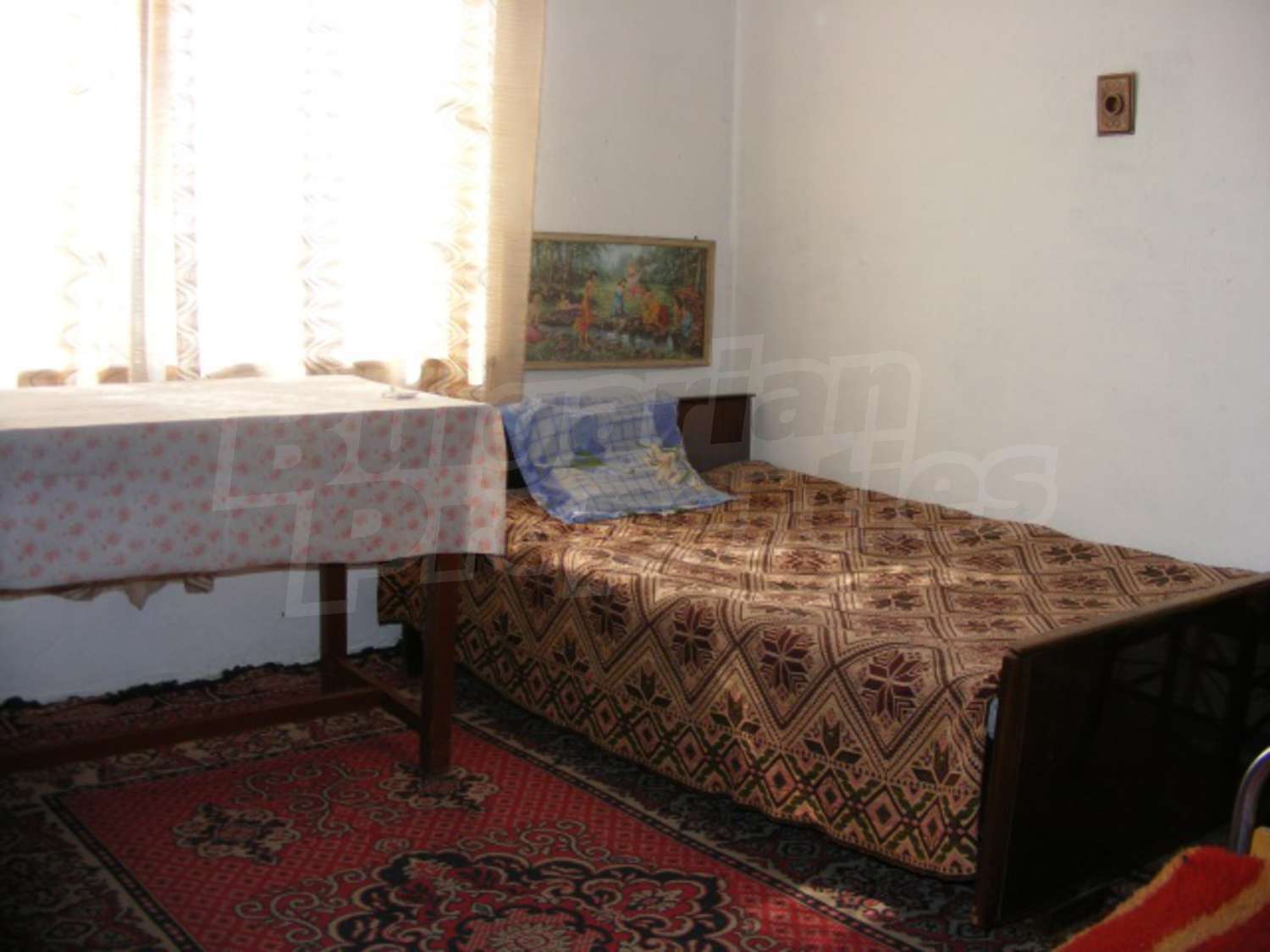 Gallery Picture 19