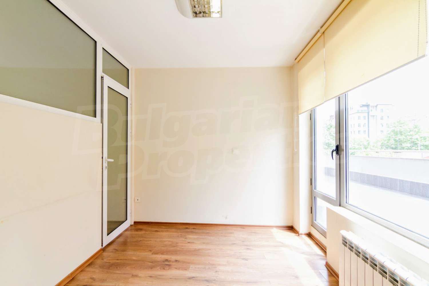 Gallery Picture 14