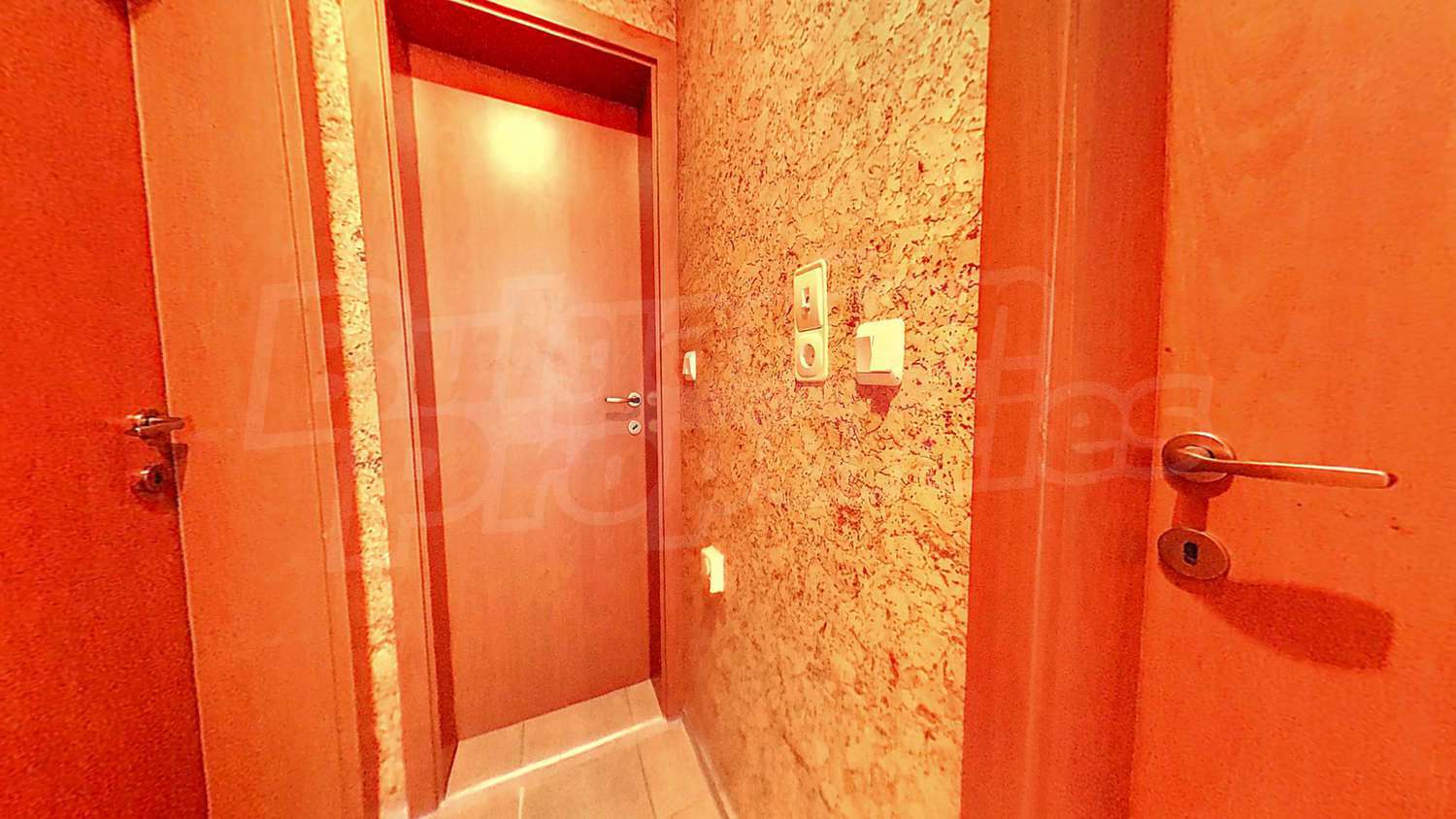 Gallery Picture 23