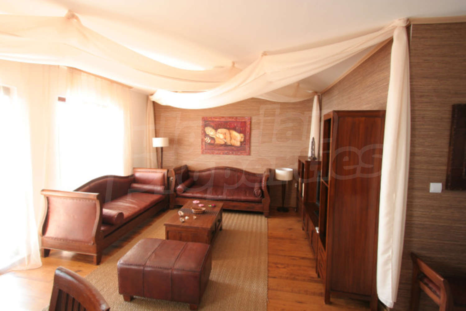 Gallery Picture 12