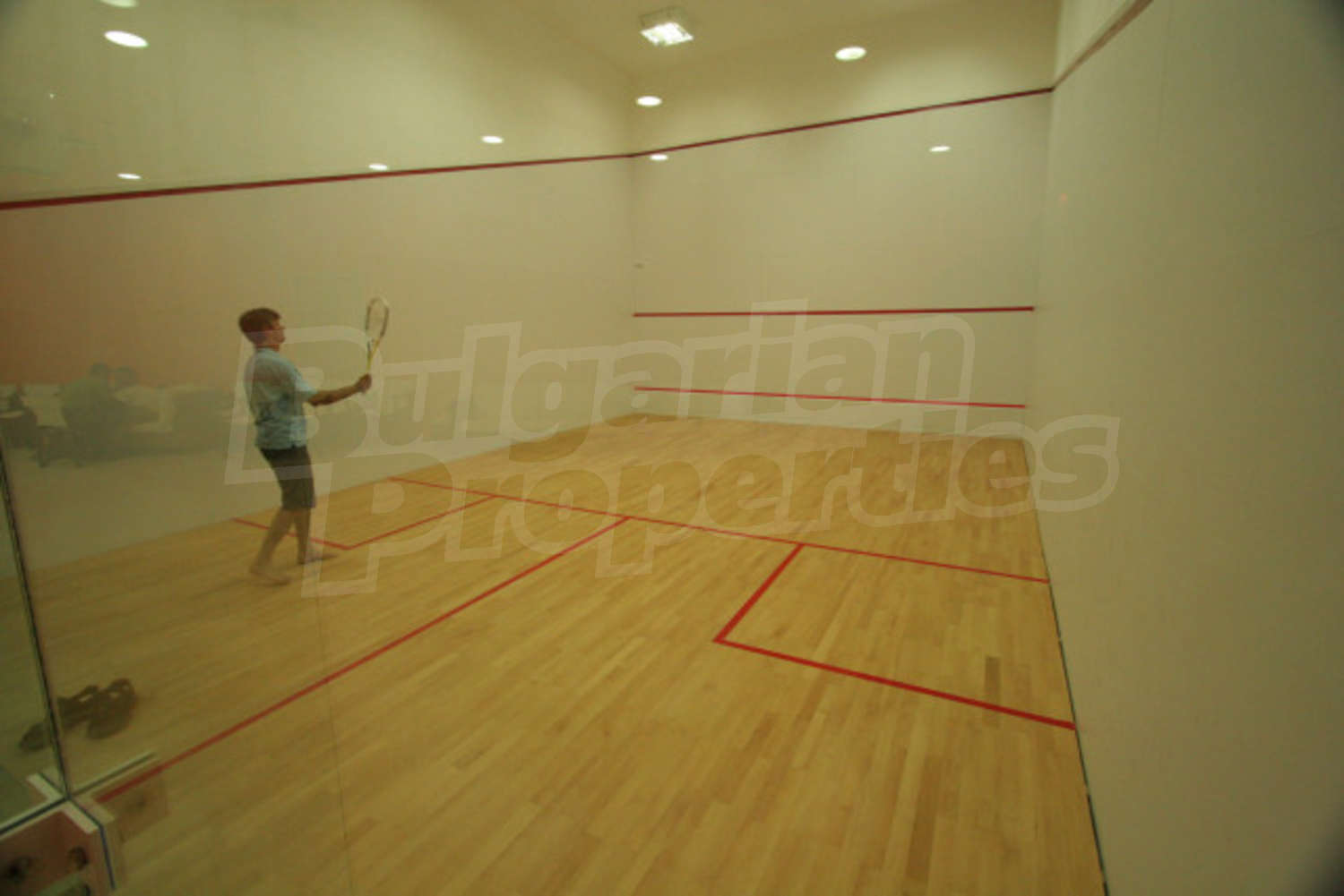 Gallery Picture 14