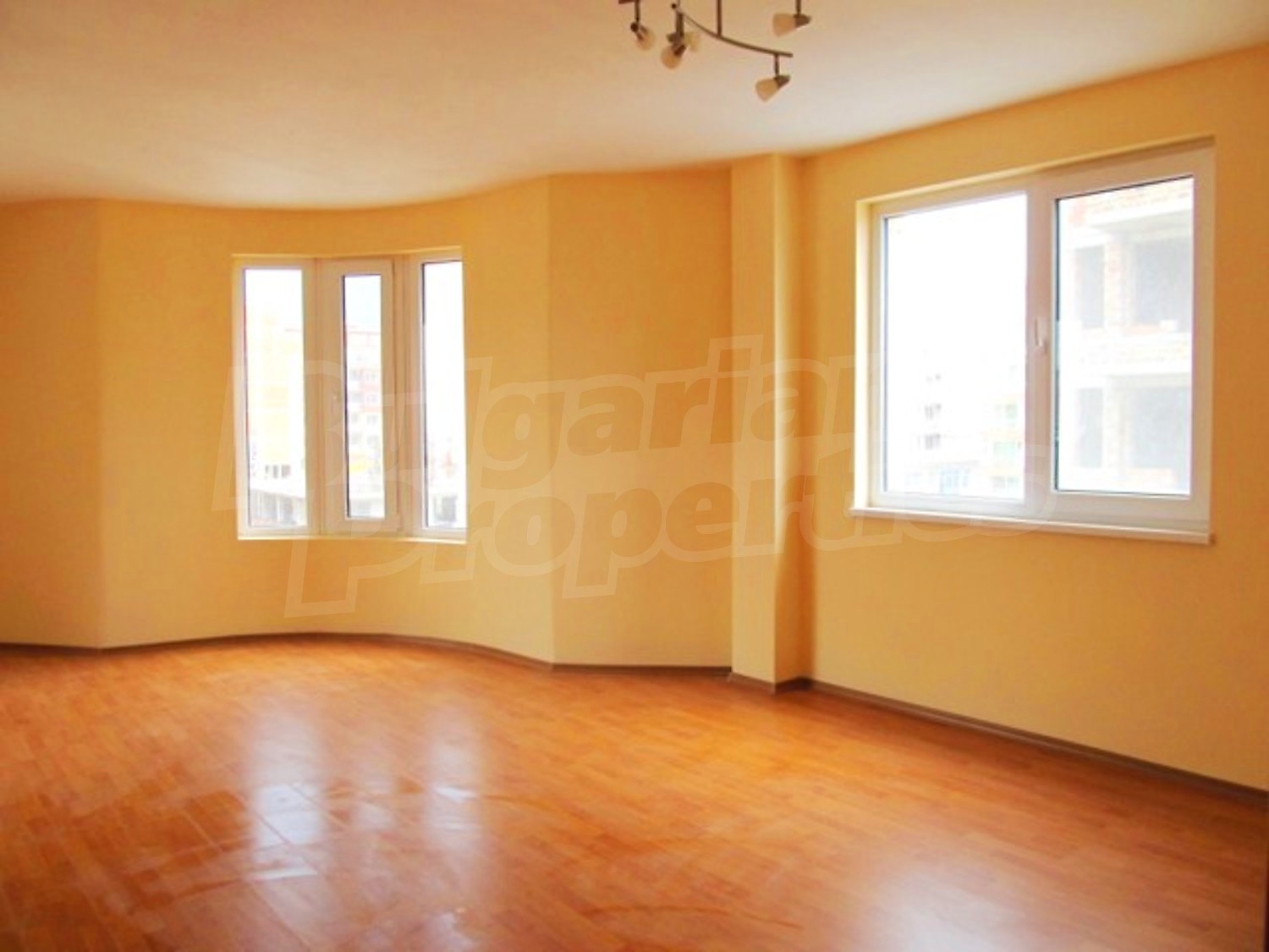Gallery Picture 14