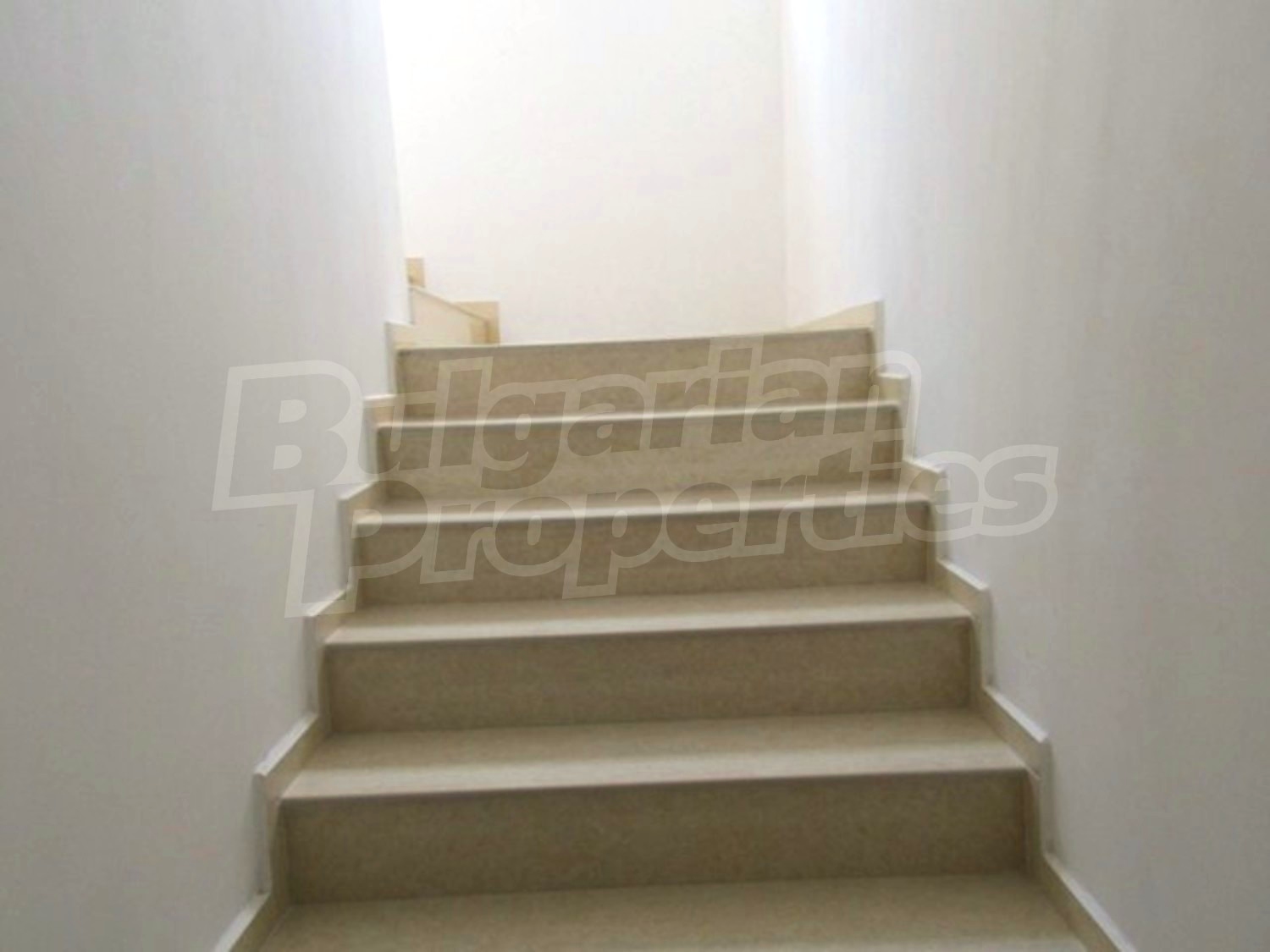 Gallery Picture 6