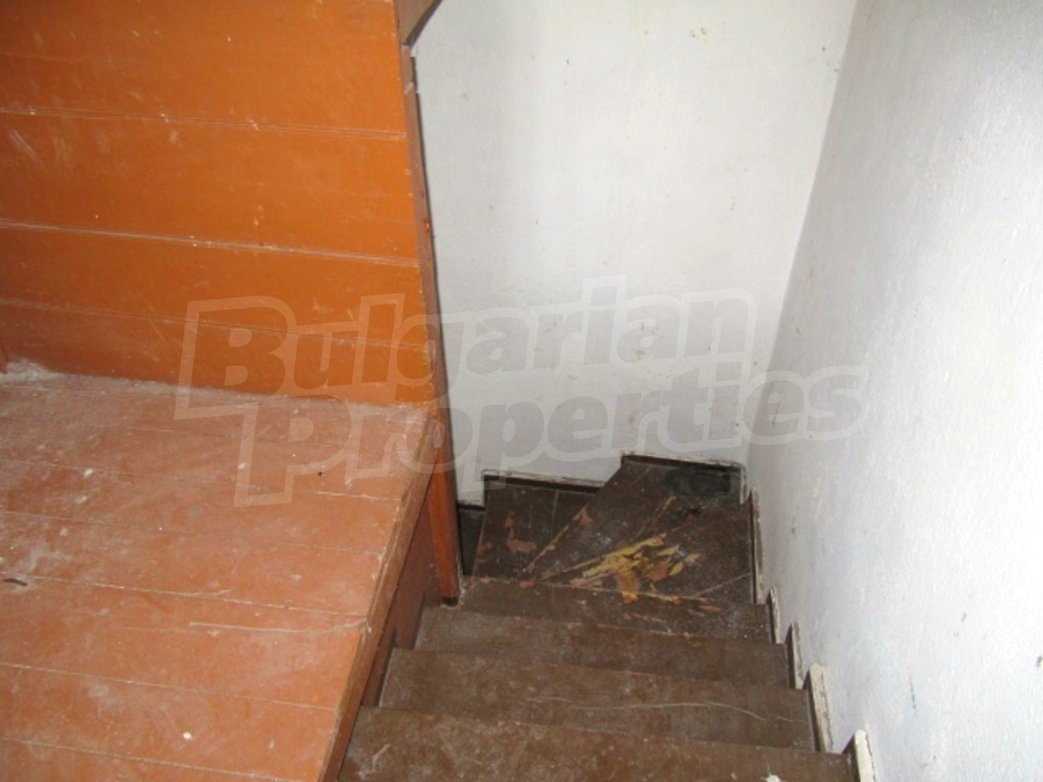 Gallery Picture 11