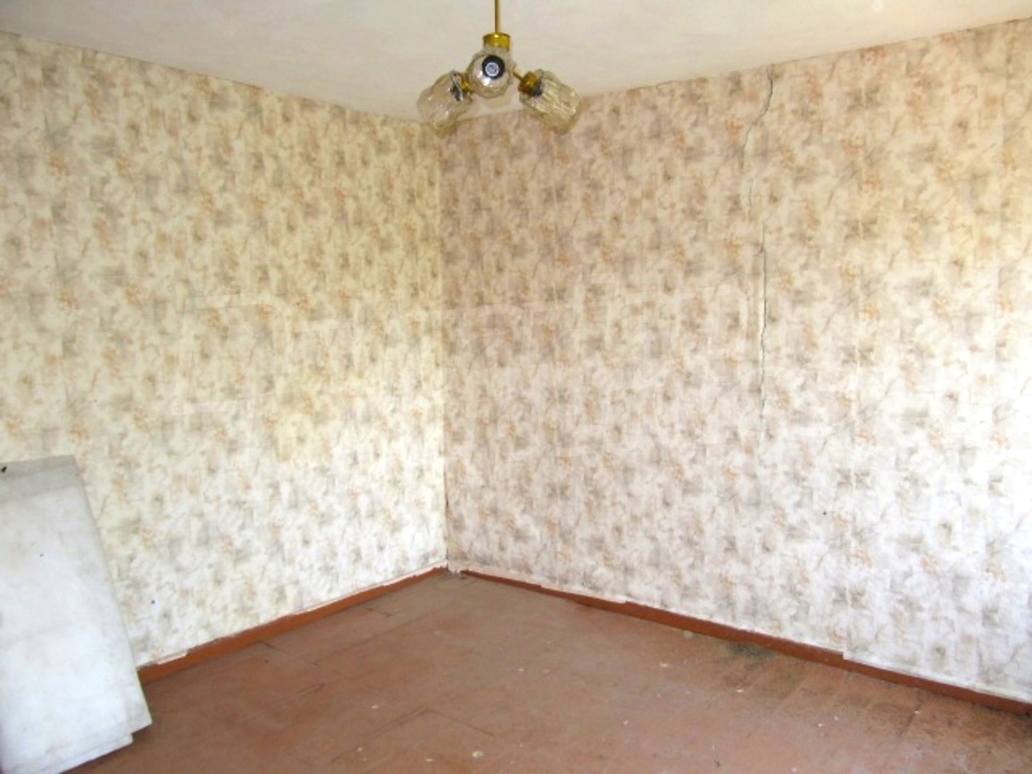 Gallery Picture 13