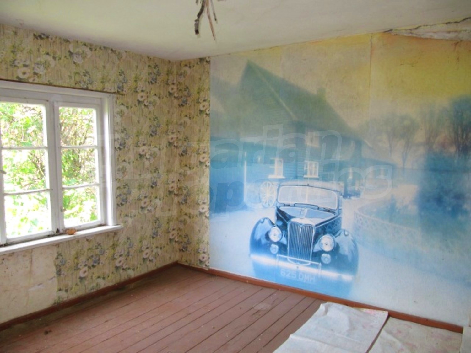 Gallery Picture 14