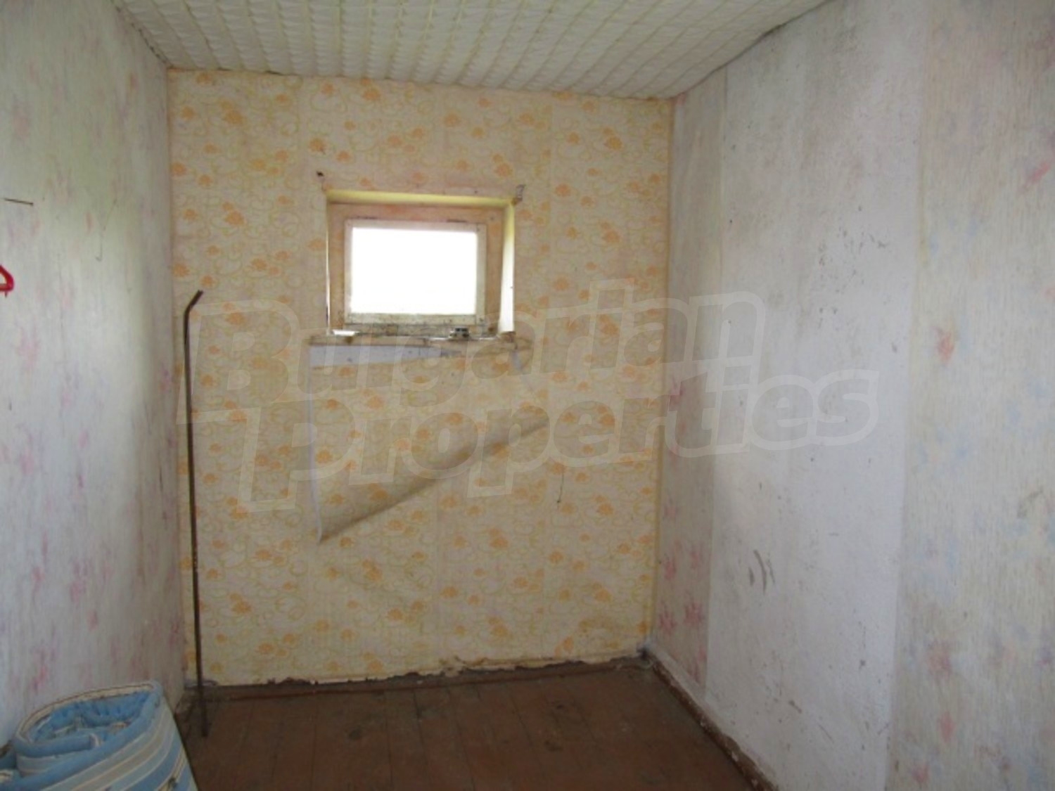 Gallery Picture 15