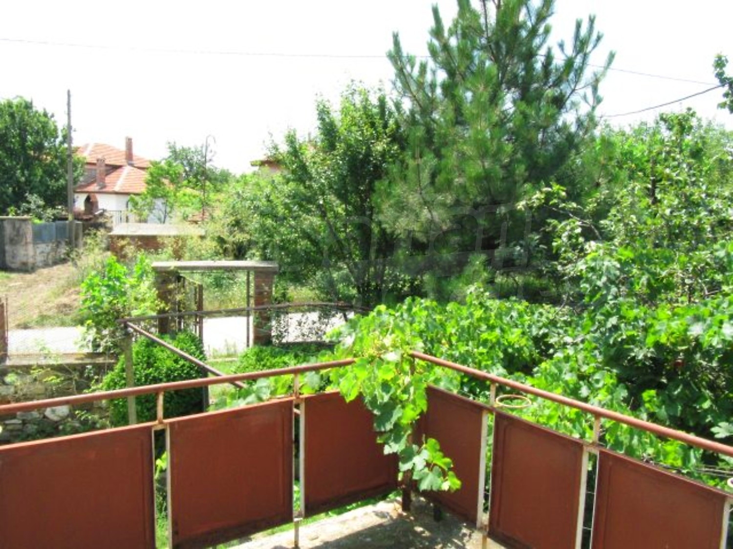 Gallery Picture 16