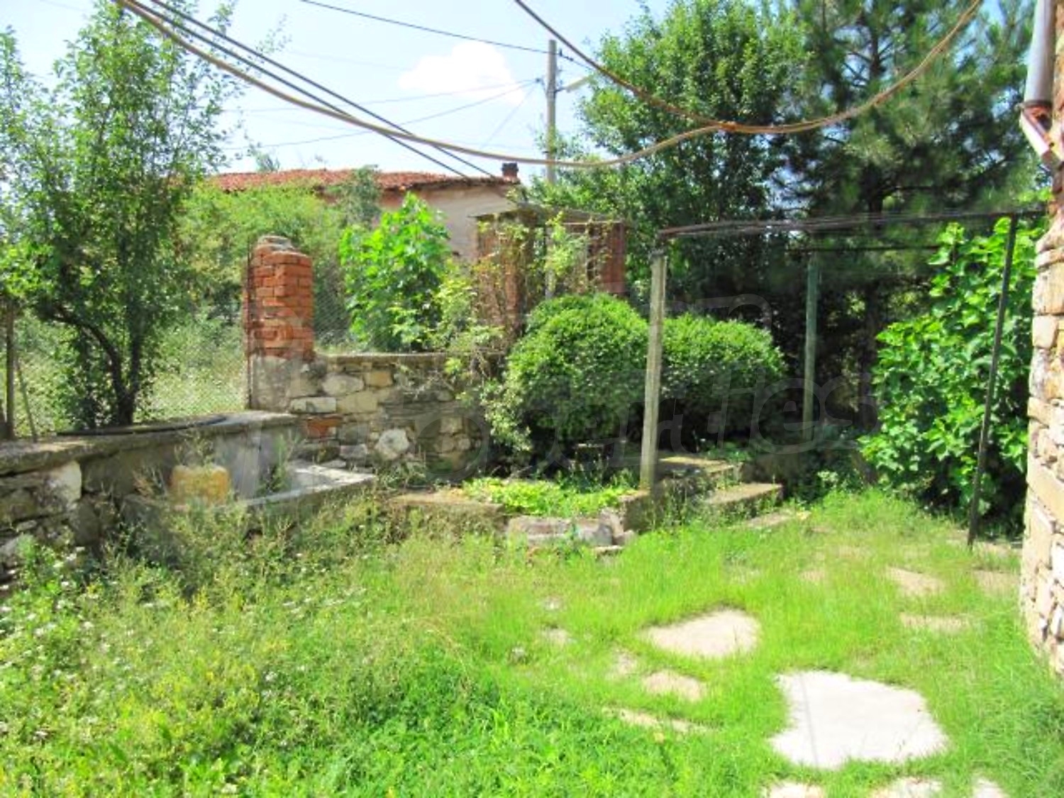 Gallery Picture 23