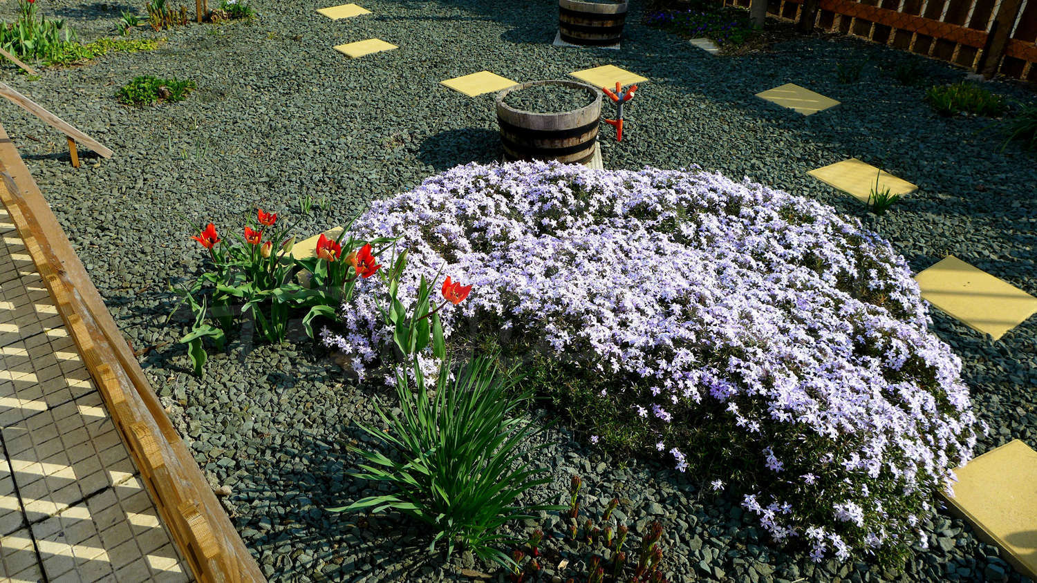 Gallery Picture 42