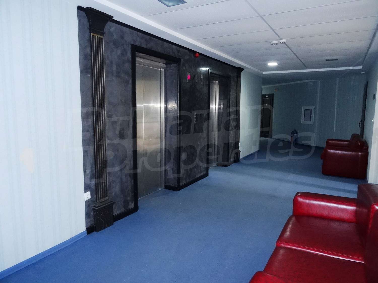 Gallery Picture 17
