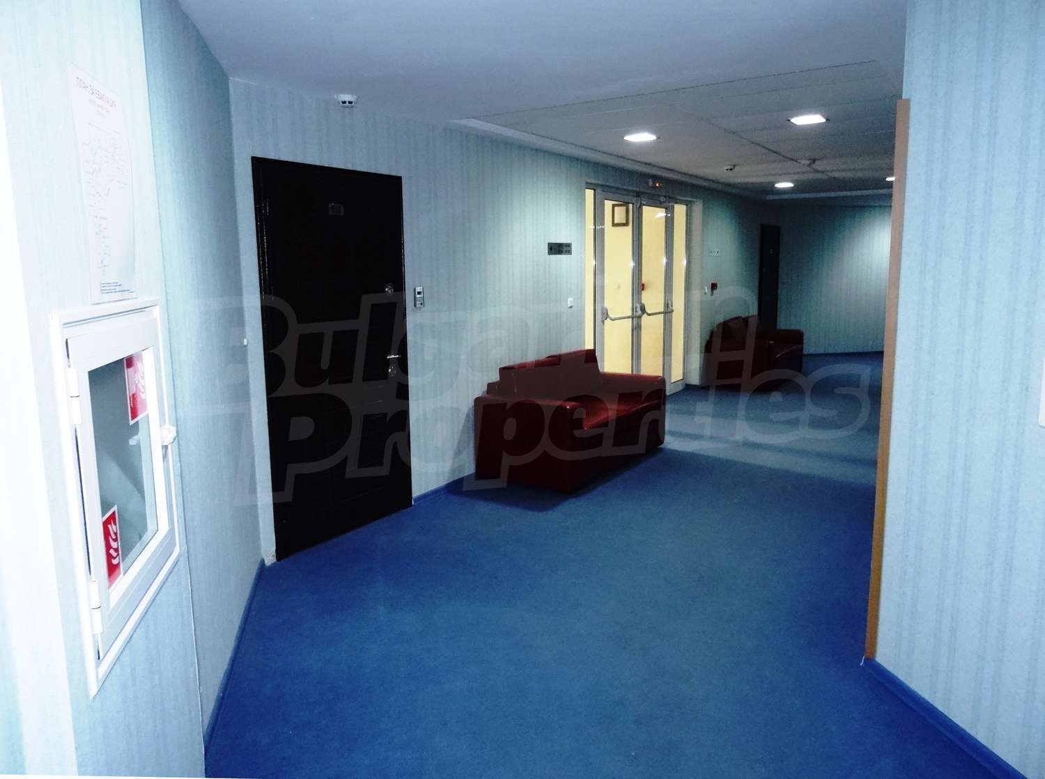 Gallery Picture 18
