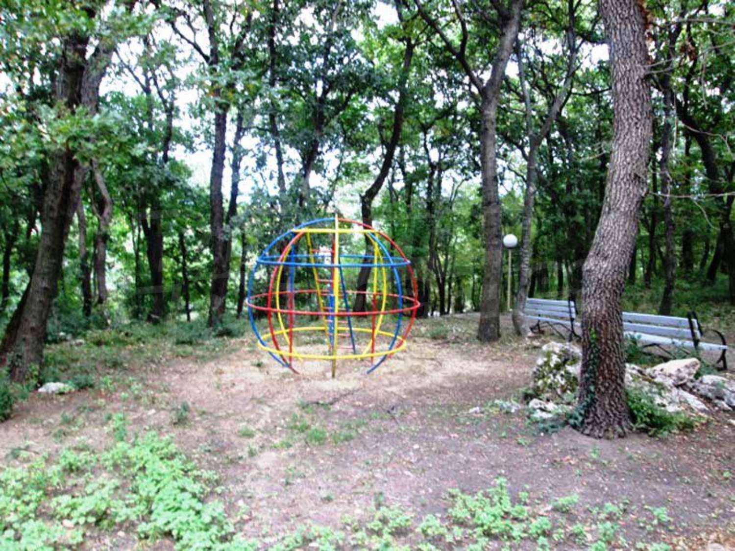 Gallery Picture 27