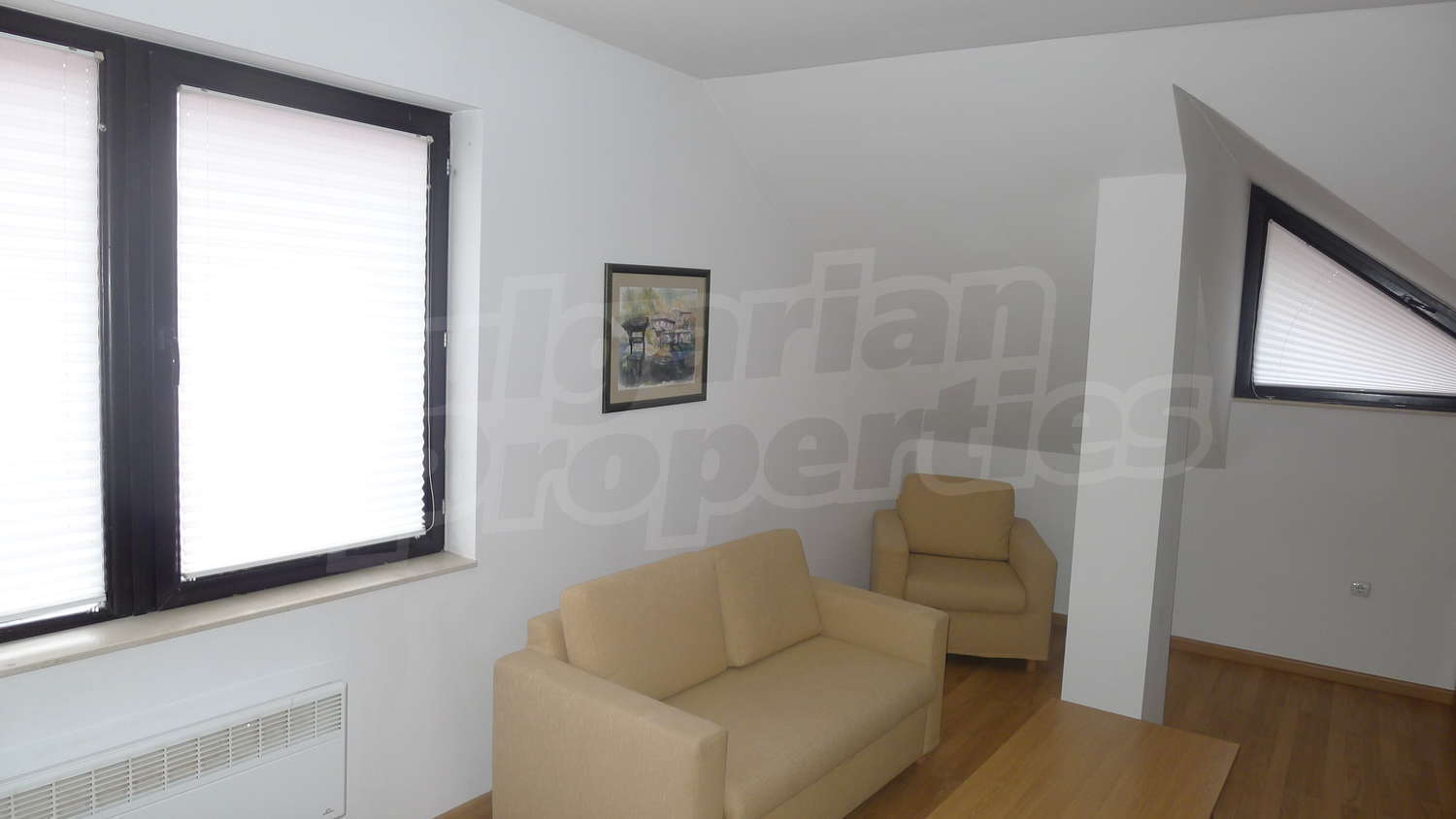 Gallery Picture 19