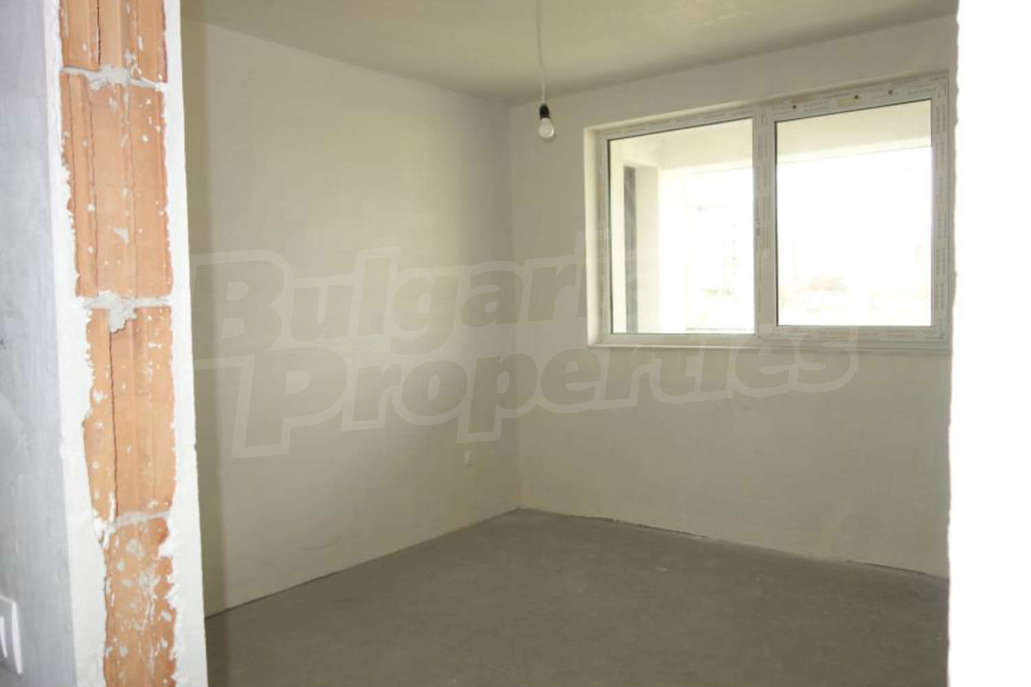 Gallery Picture 11