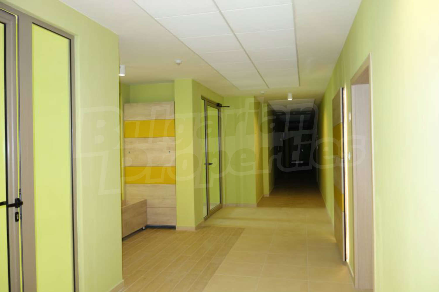 Gallery Picture 23