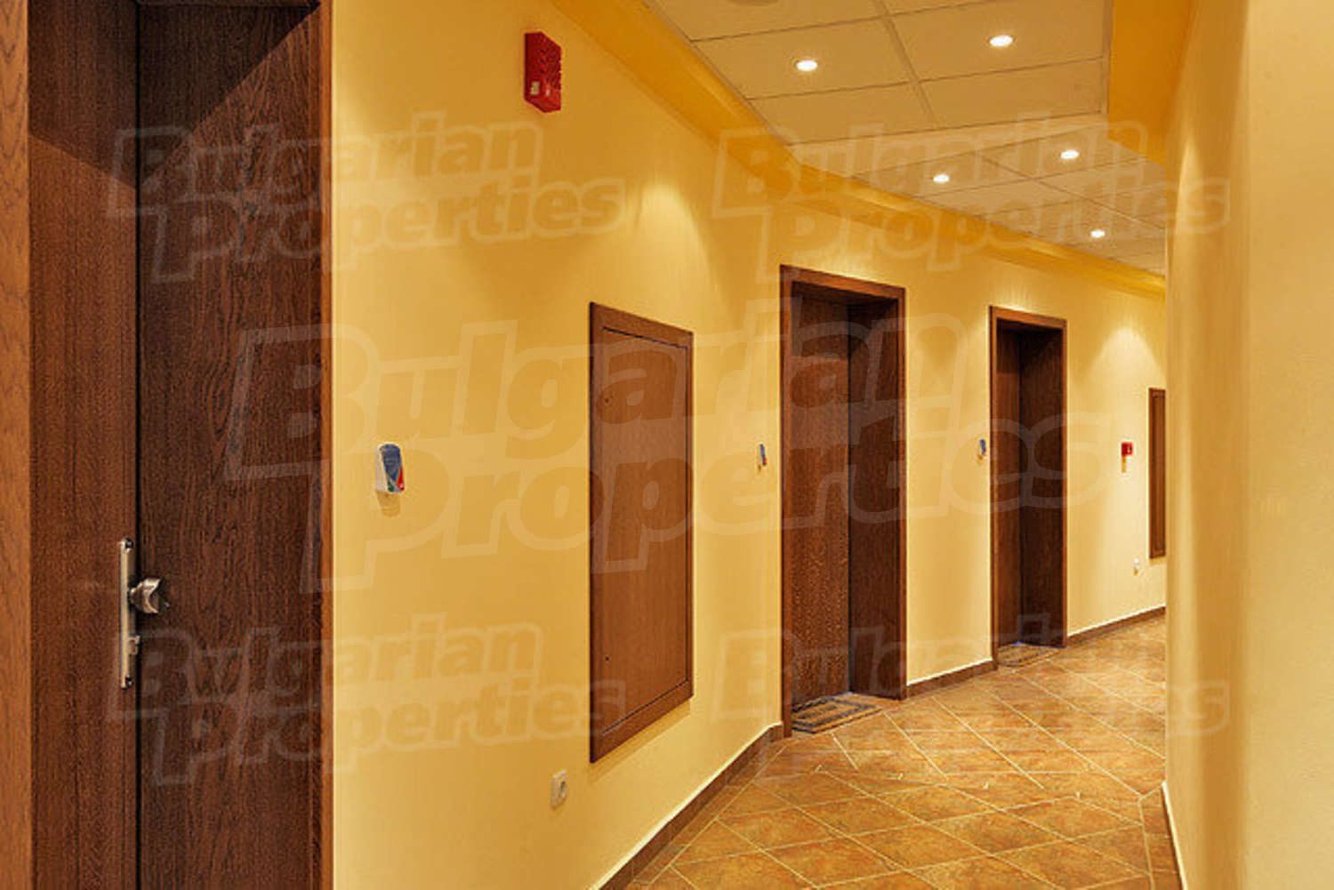 Gallery Picture 20