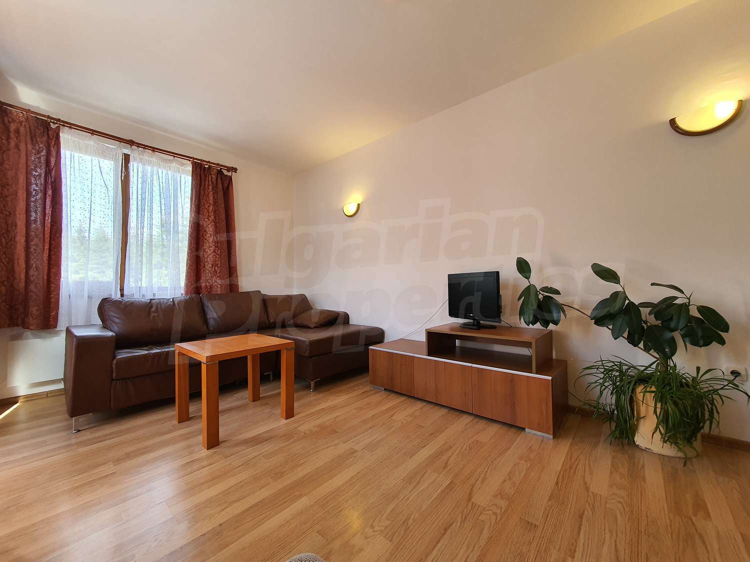 Gallery Picture 10