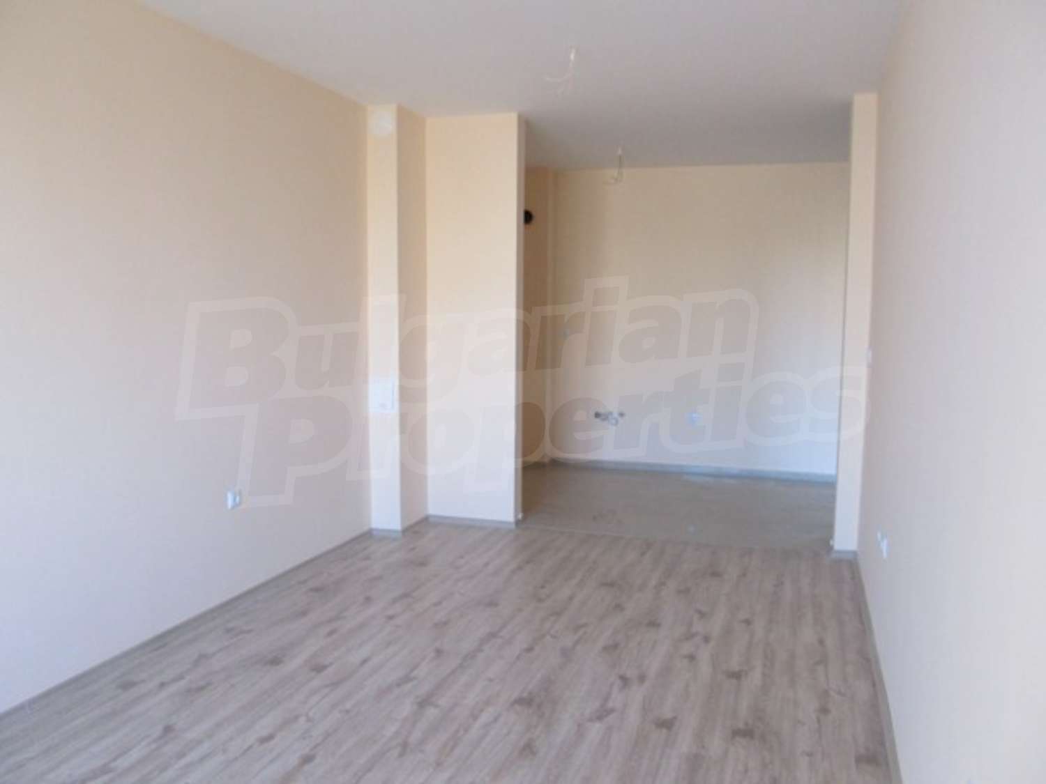 Gallery Picture 10