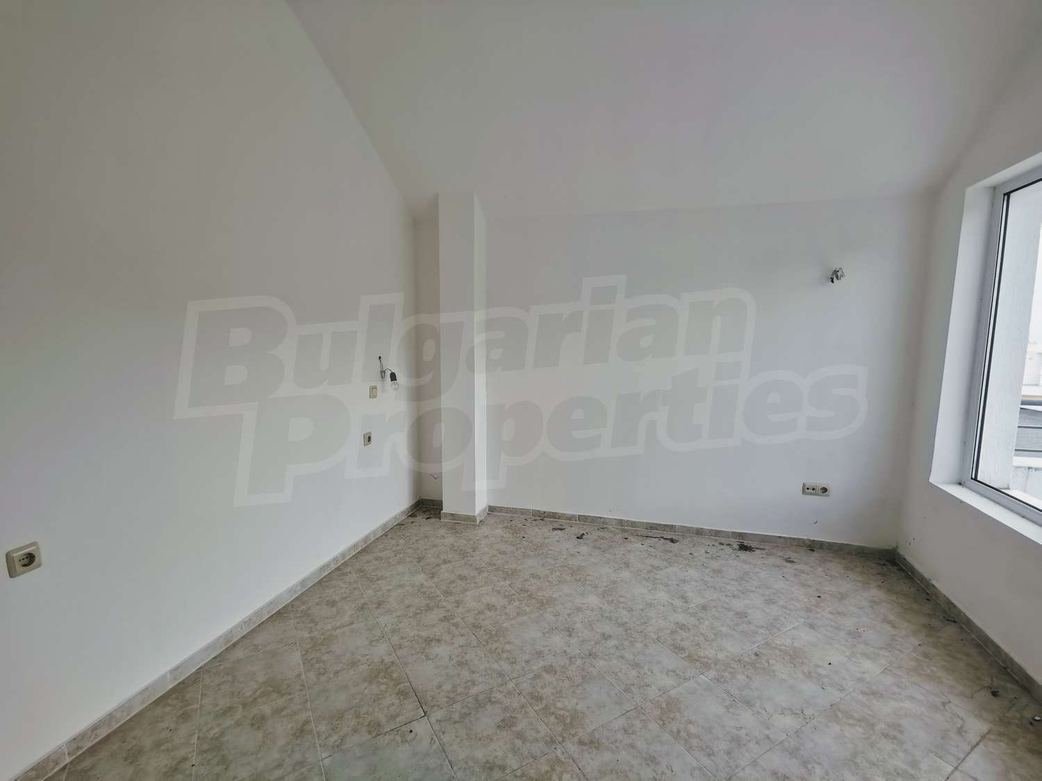 Gallery Picture 12