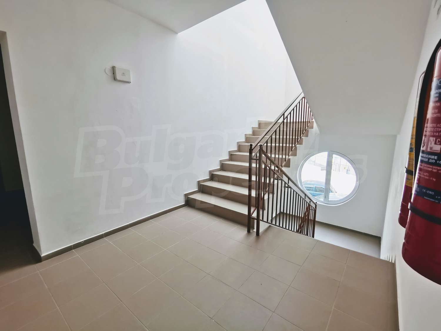 Gallery Picture 15