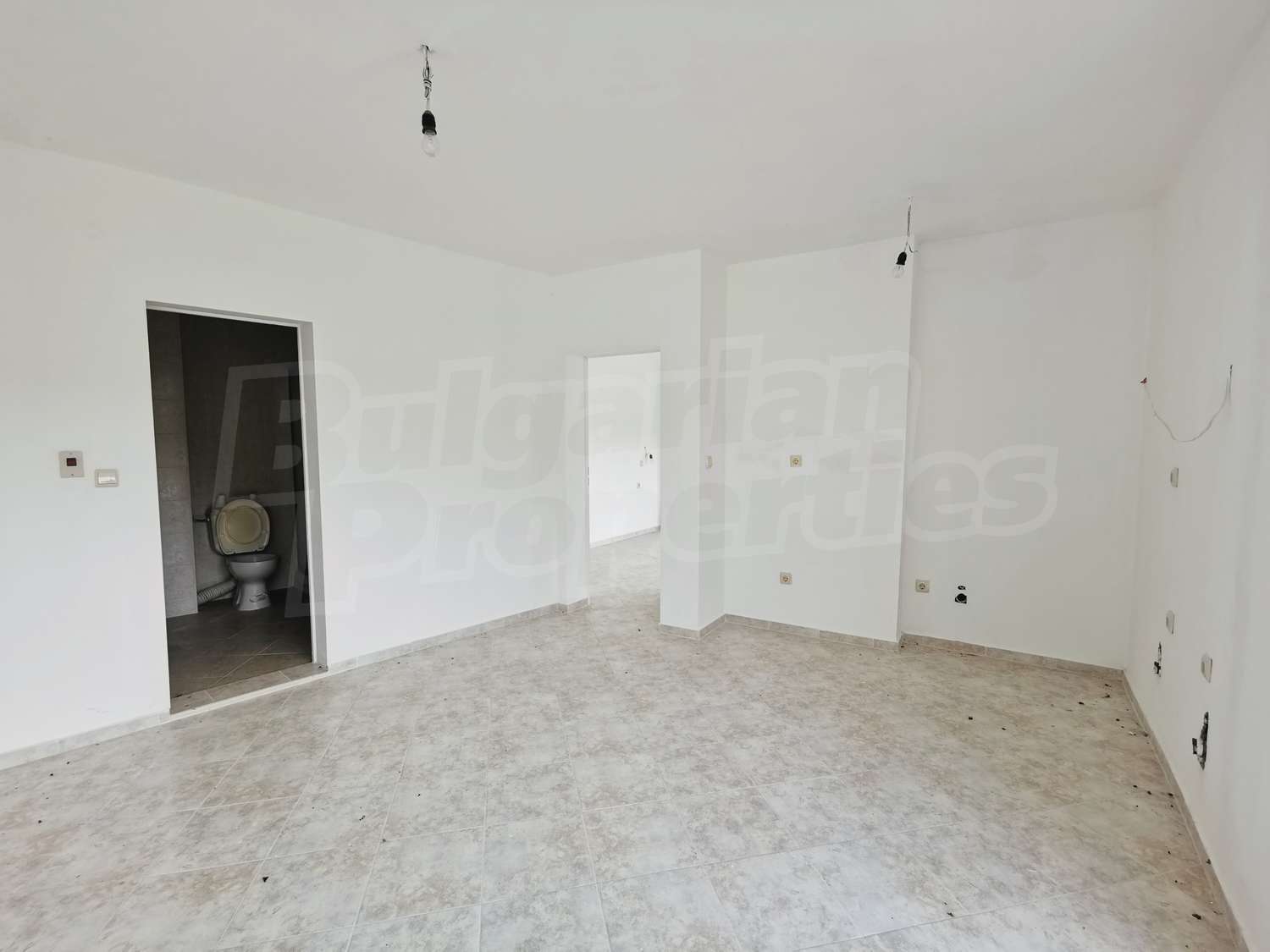 Gallery Picture 8