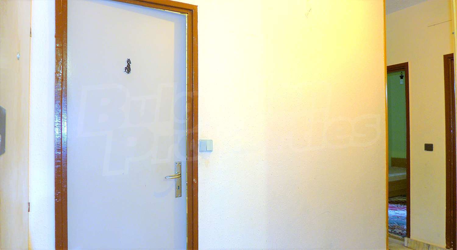 Gallery Picture 43