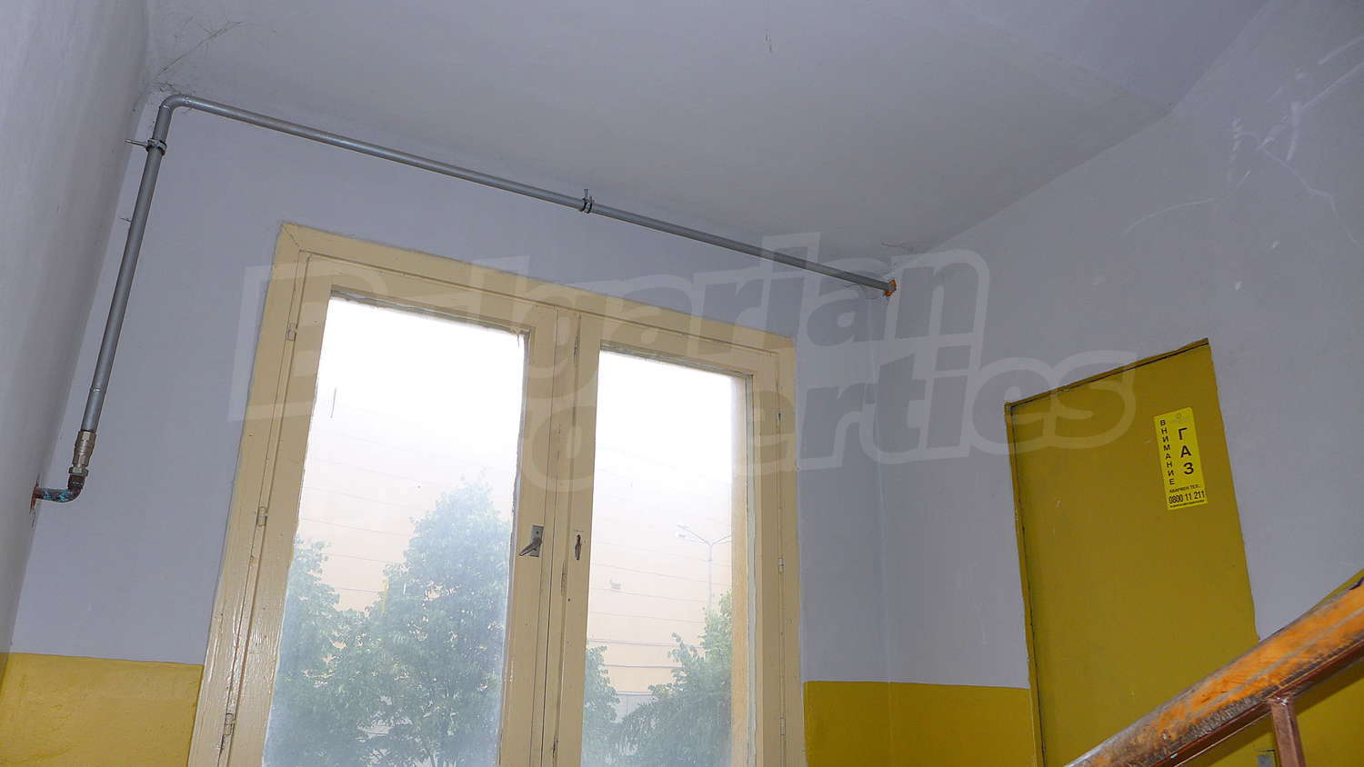 Gallery Picture 46