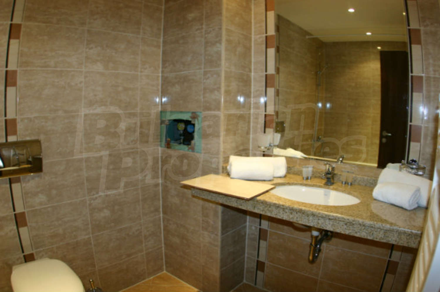 Gallery Picture 11