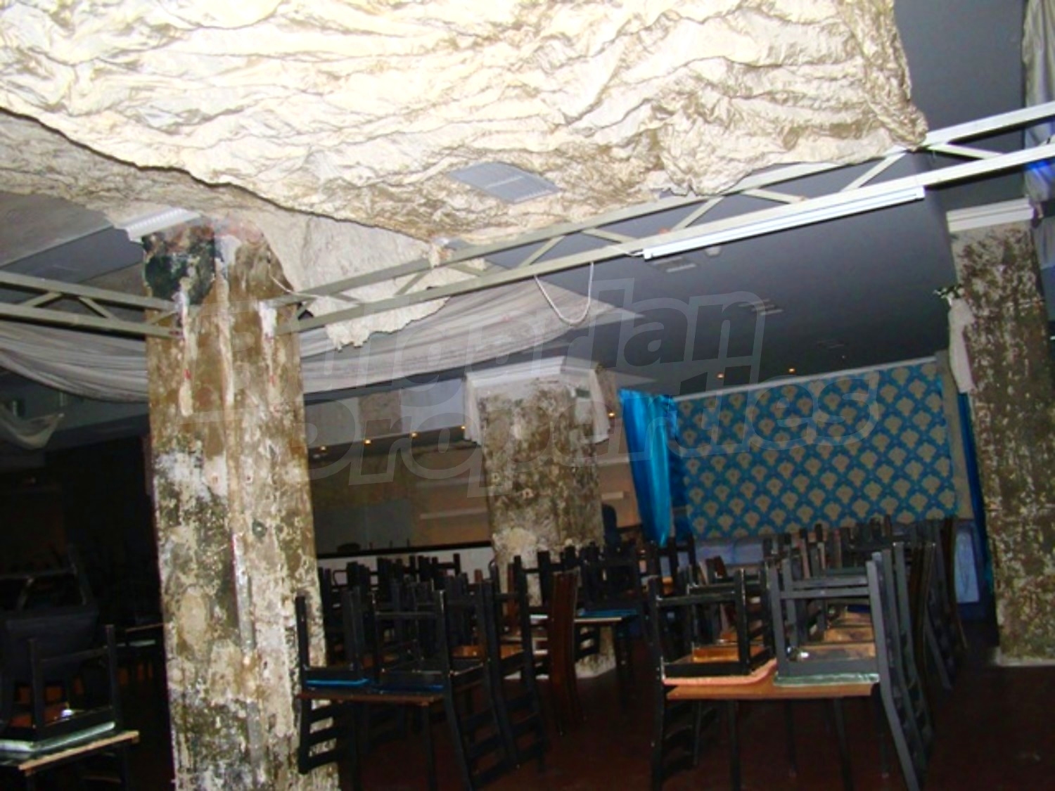 Gallery Picture 16