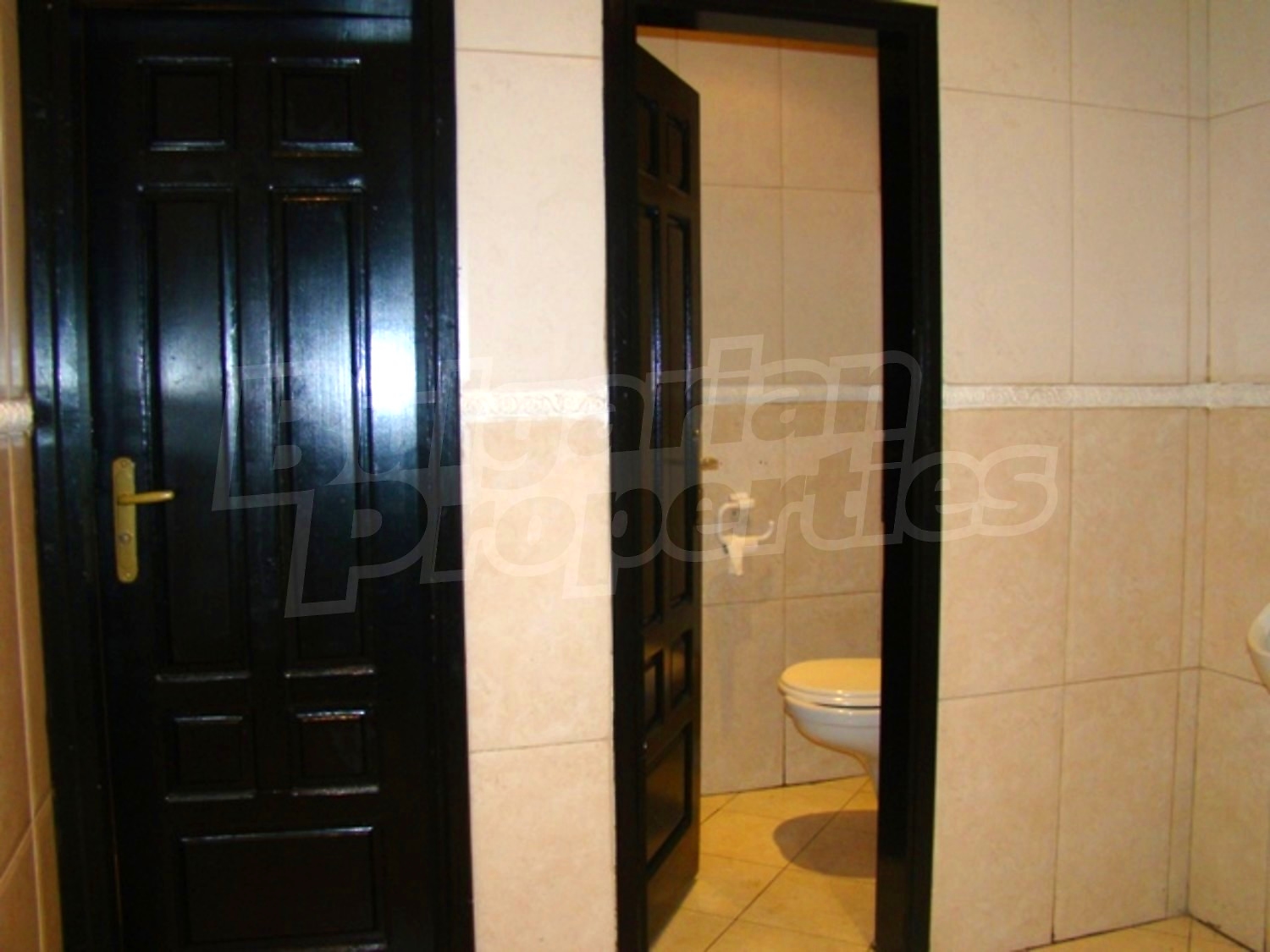 Gallery Picture 38
