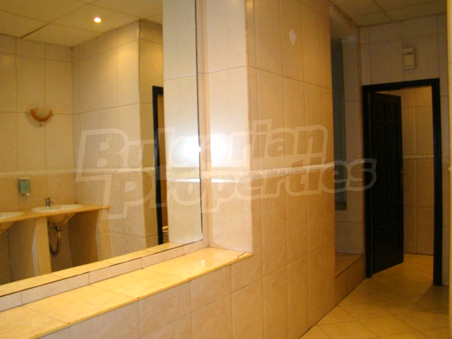 Gallery Picture 39