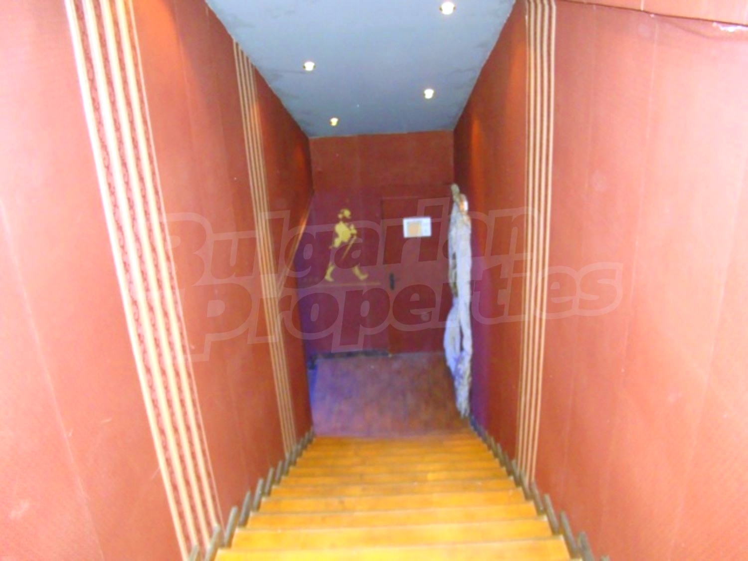 Gallery Picture 43