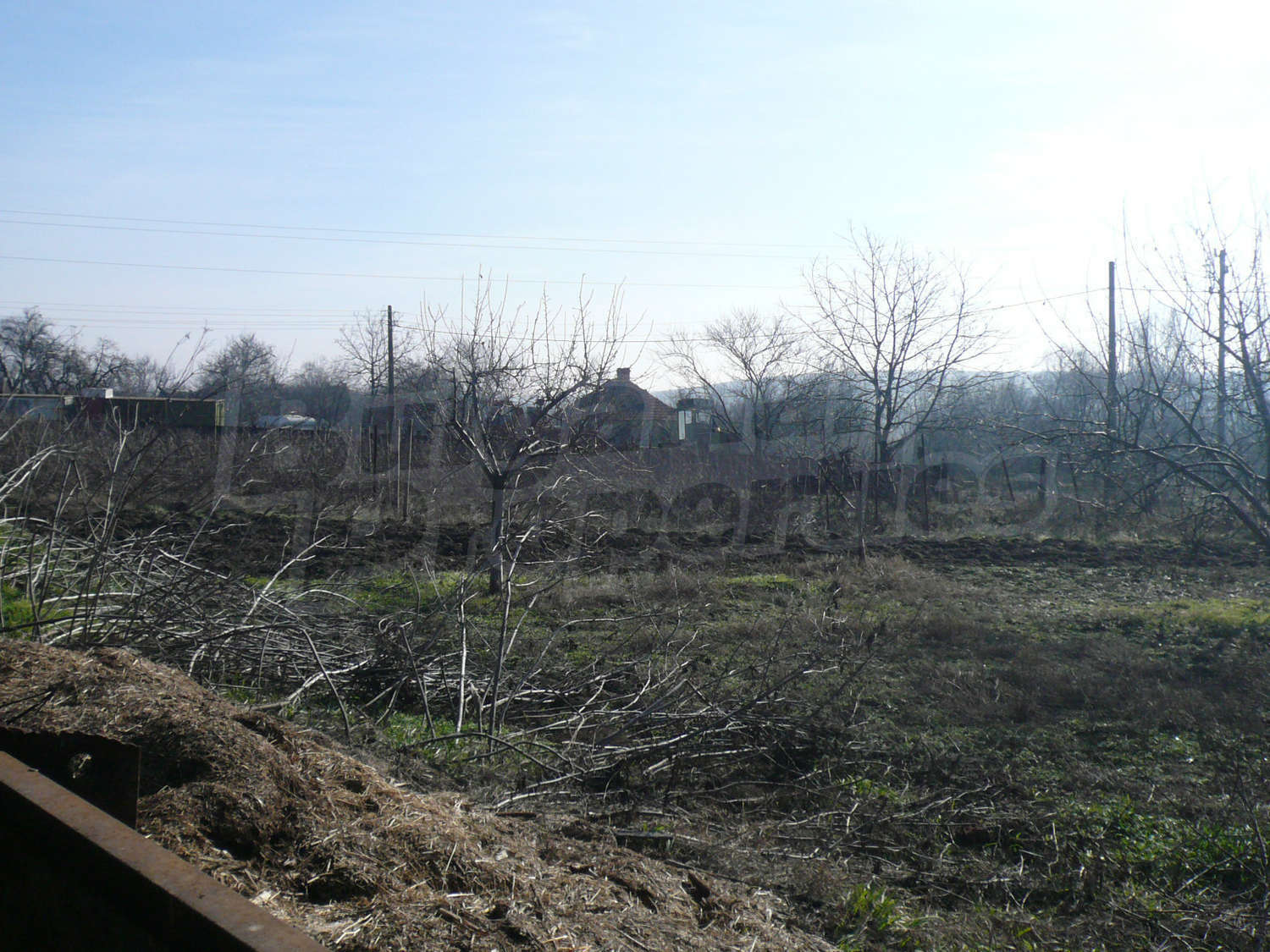 Gallery Picture 18