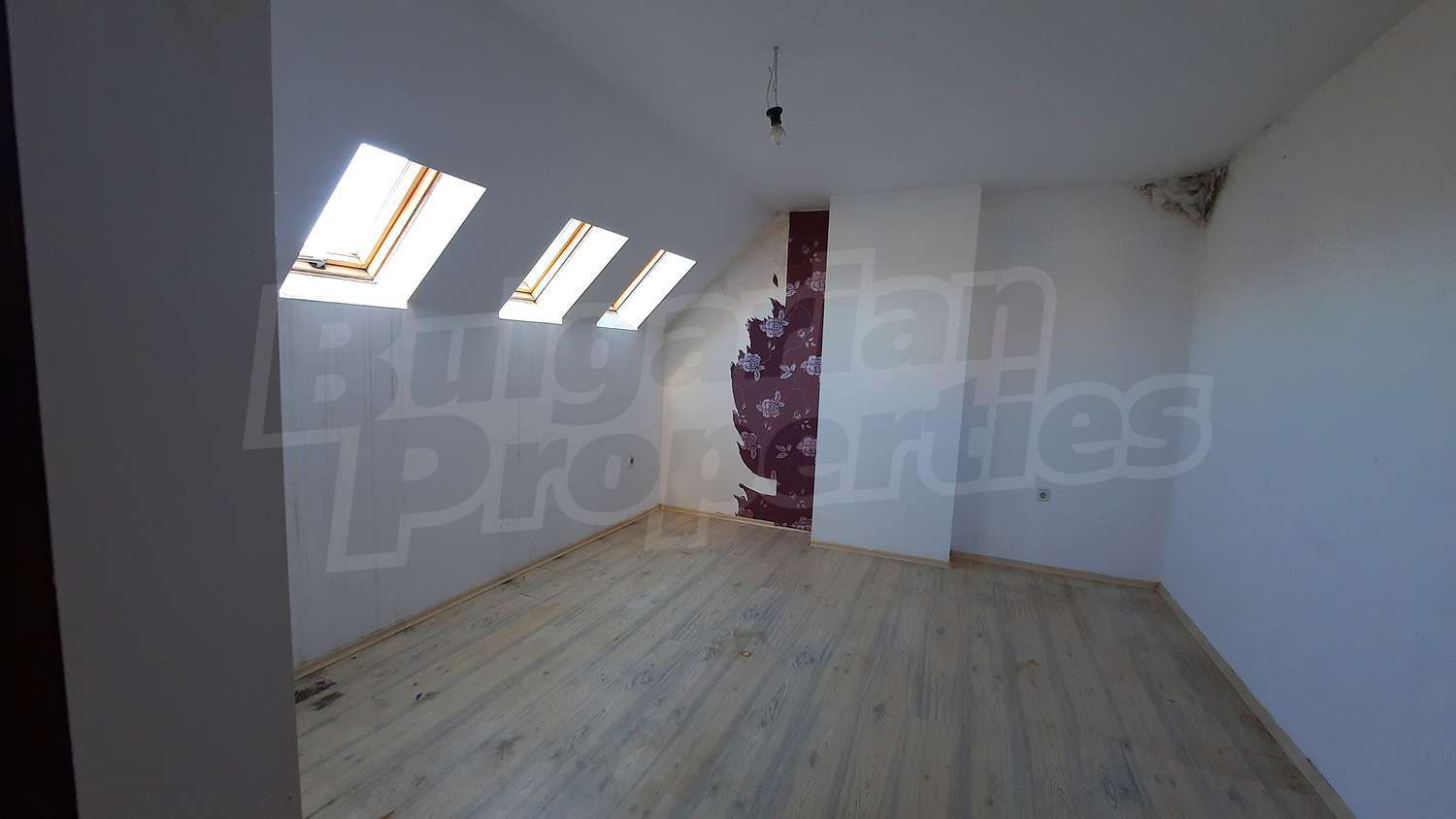 Gallery Picture 10