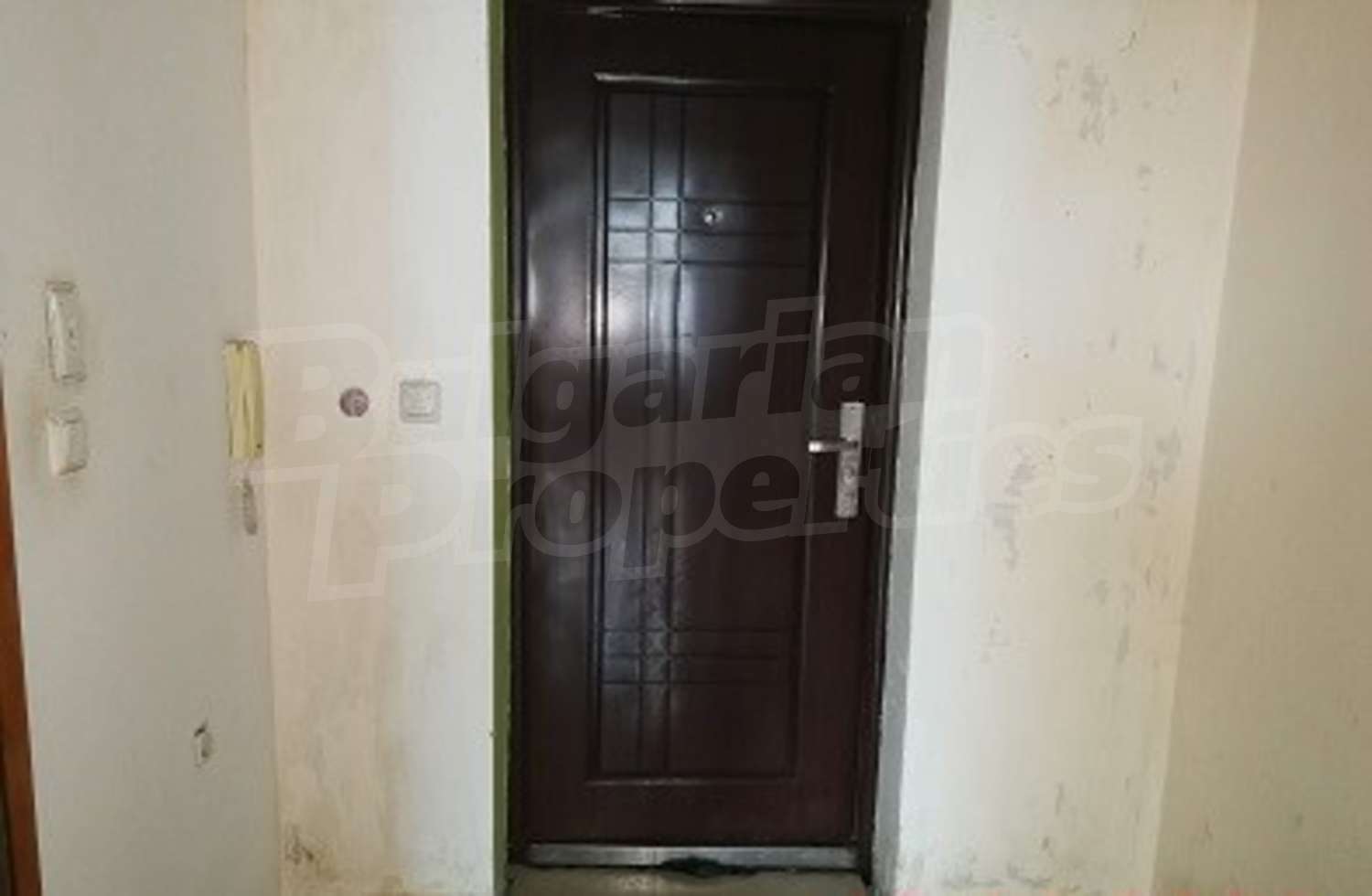Gallery Picture 17