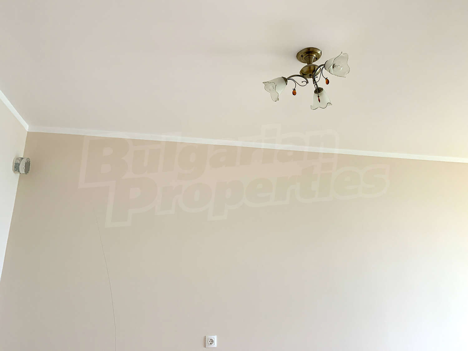 Gallery Picture 16