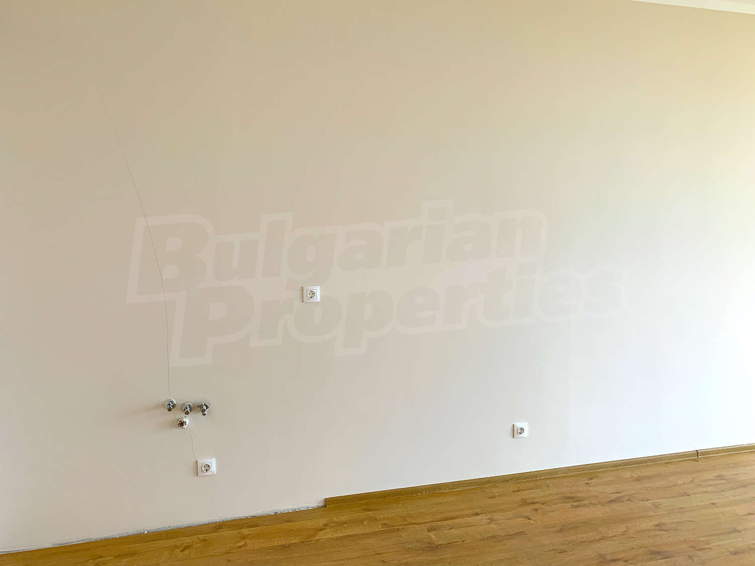 Gallery Picture 15