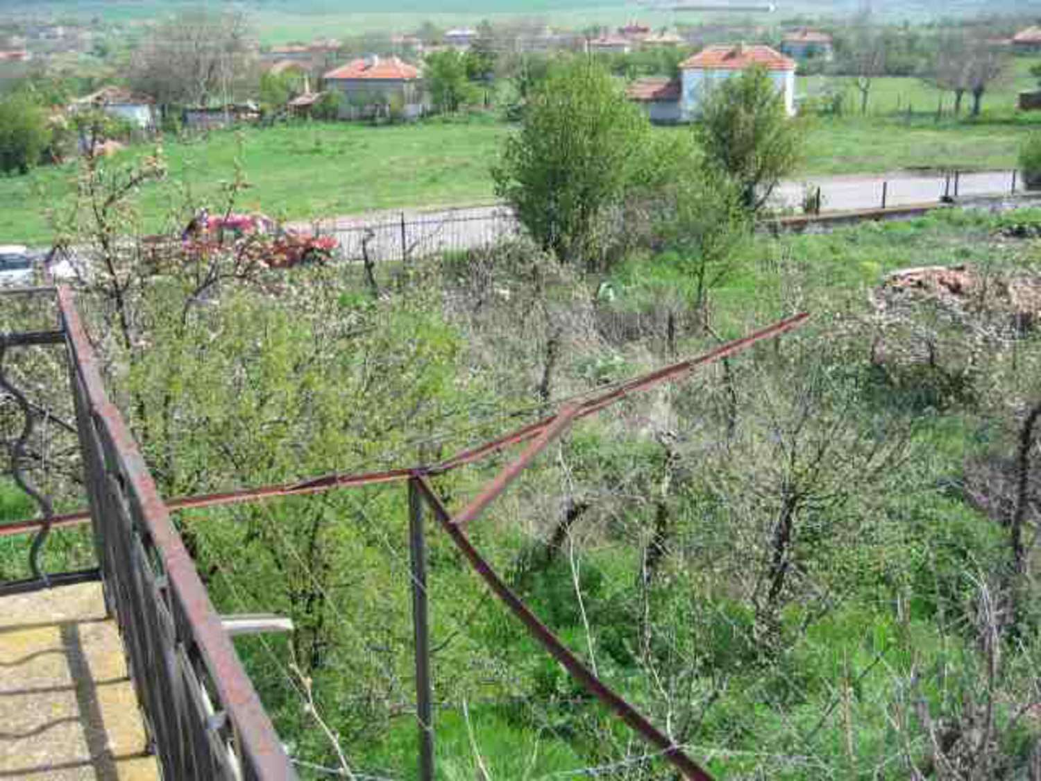 Gallery Picture 11