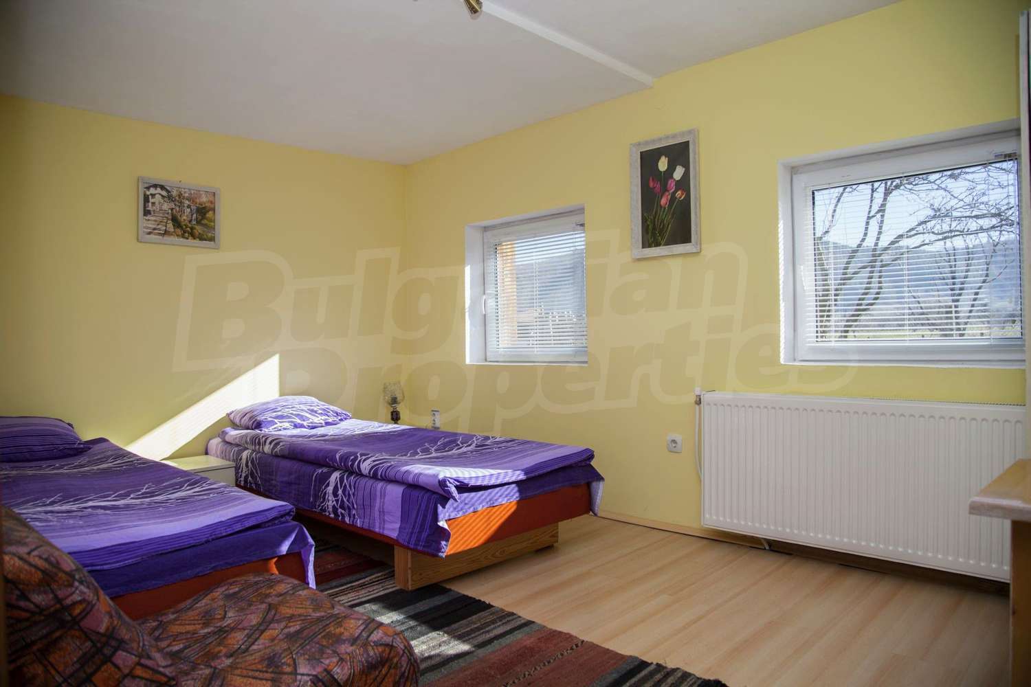 Gallery Picture 12