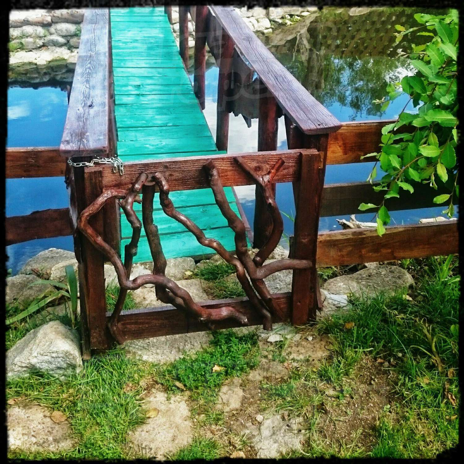 Gallery Picture 18