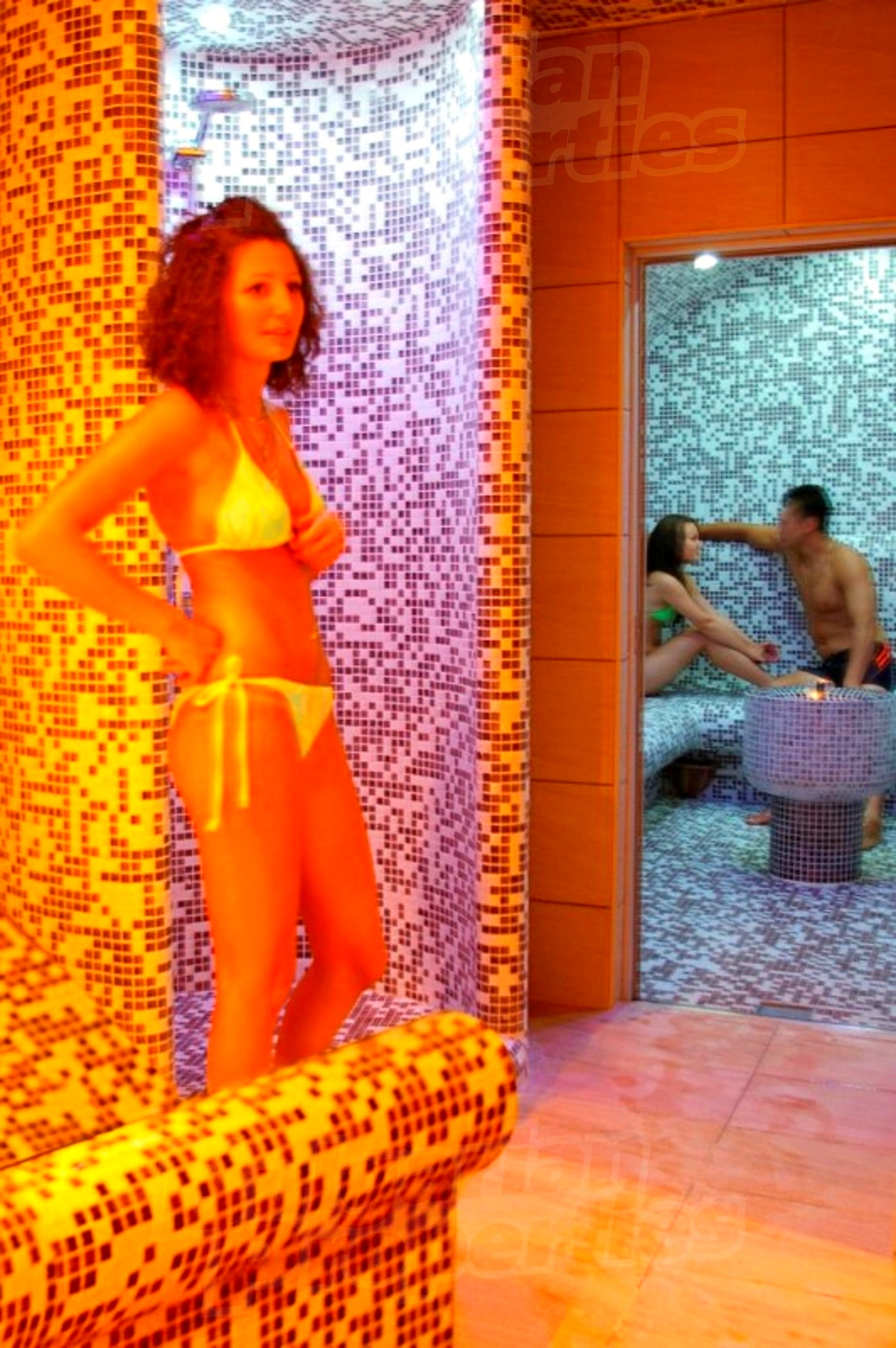Gallery Picture 16
