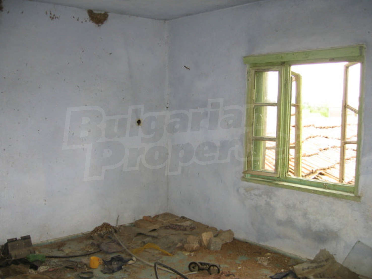 Gallery Picture 10