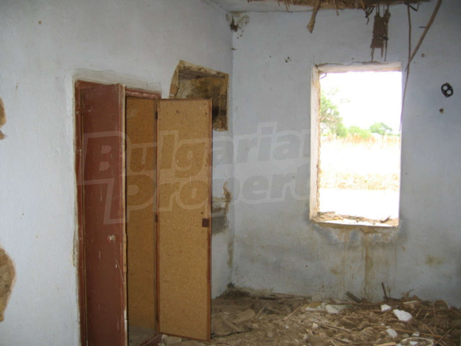 Gallery Picture 11