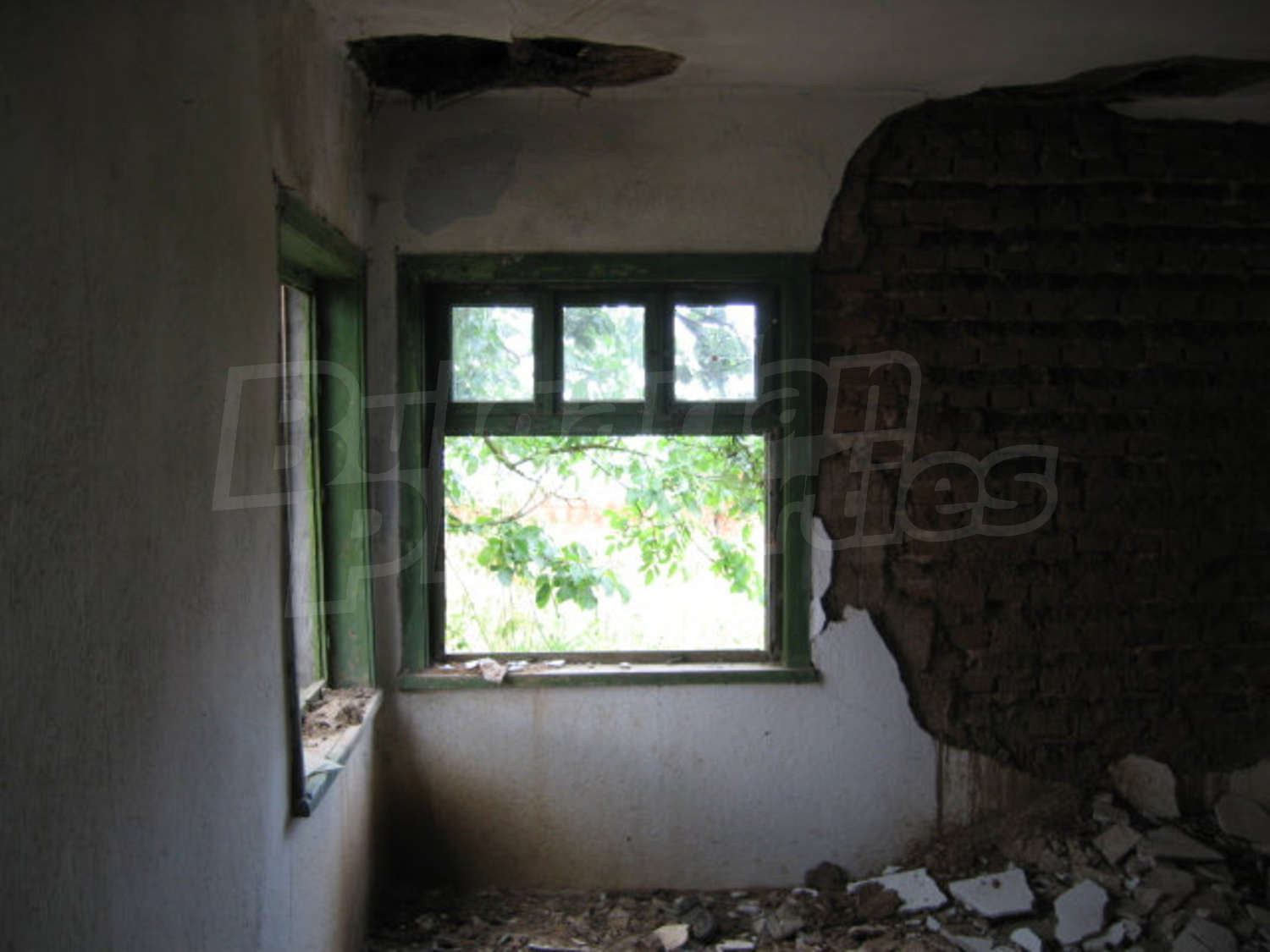 Gallery Picture 13